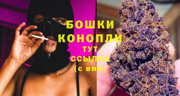 амф Осташков