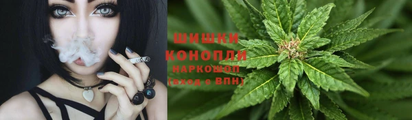 jwh Пересвет