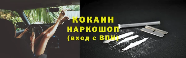 винт Сатка
