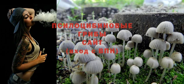 спиды Михайлов