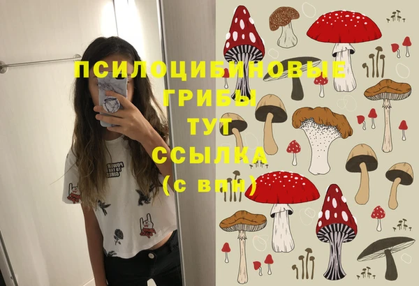 винт Сатка