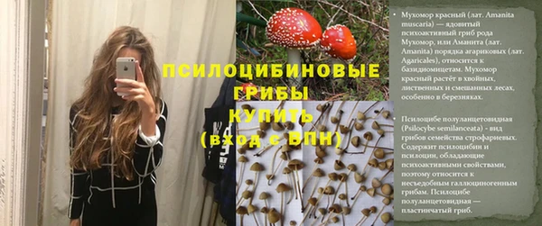 марки lsd Переславль-Залесский