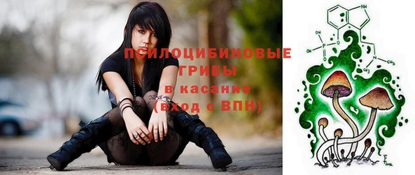 jwh Пересвет