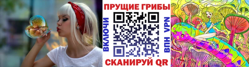 Галлюциногенные грибы Cubensis  даркнет сайт  blacksprut tor  Серафимович 